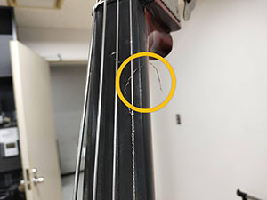 音を楽しもう2024